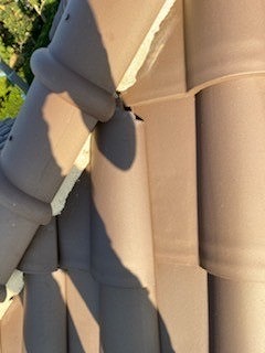 瓦の割れ被害が発覚